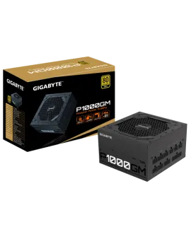 1000W P1000GM 80 Plus Gold